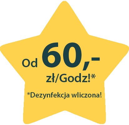 Cleaning Service